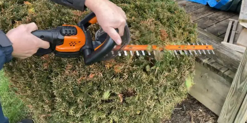 WORX WG261 Power Share Cordless Hedge Trimmer
