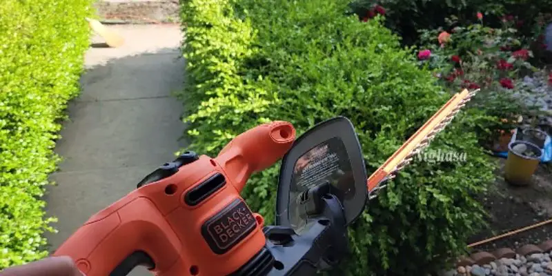 Best Electric Hedge Trimmer – Top 5 Picks and Buying Guide post thumbnail image