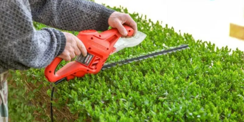 hedge trimming prices
