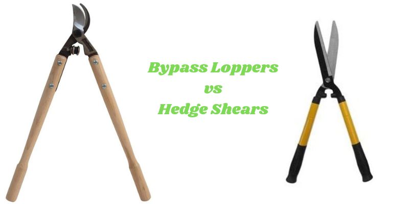 Bypass Loppers vs Hedge Shears
