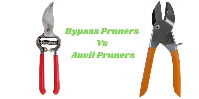 Bypass Pruners Vs Anvil Pruners
