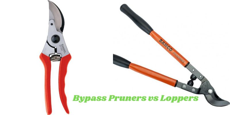 Bypass Pruners vs Loppers: Which Tool is best for Your Pruning Needs? post thumbnail image