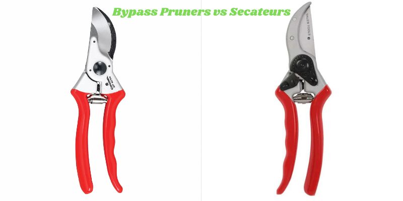 Bypass Pruners vs Secateurs