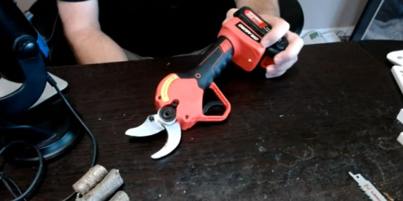 Dragro Pruning Shears Review – A Landscaper’s Best Friend post thumbnail image