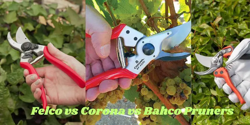 Felco VS Corona VS Bahco pruners