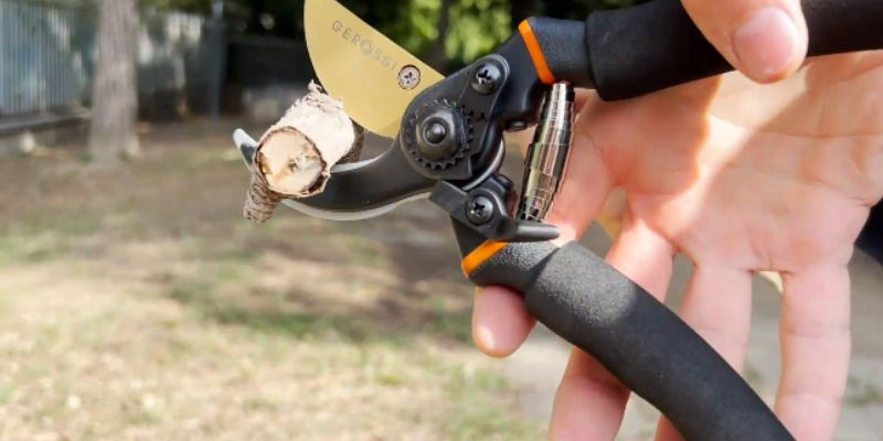 Gerossi Bypass Pruning Shears