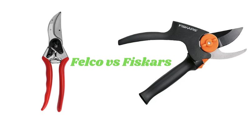 Felco Vs Fiskars Pruners: Which Brand Reigns Supreme? post thumbnail image