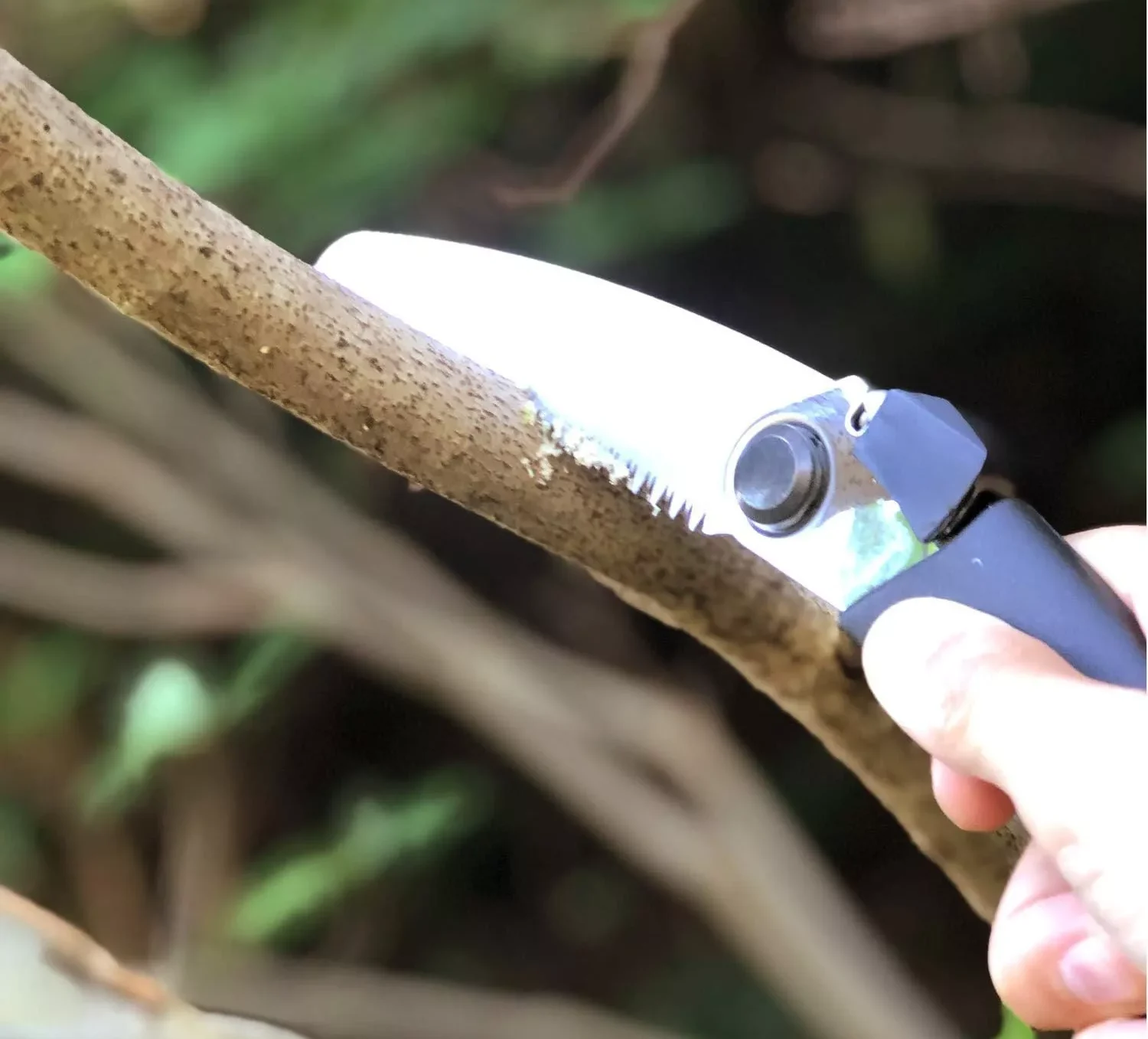 Best Japanese Folding Pruning Saw – Top 4 Picks Revealed by an Expert! post thumbnail image